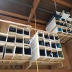 Building up stock
