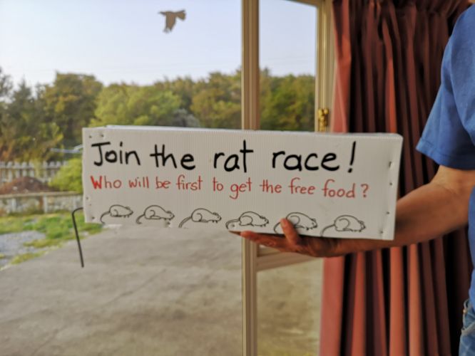A finished rat trap tunnel with decoration