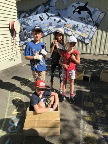 The building of penguin nesting boxes for Port Tarakohe in full swing