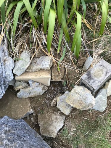 Penguin box replacements