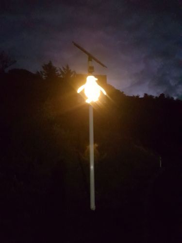 Flashing Kororā signs