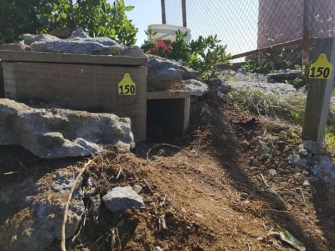 Many hands make light work