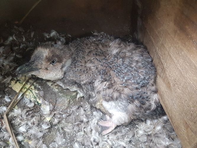 Changing of the guards